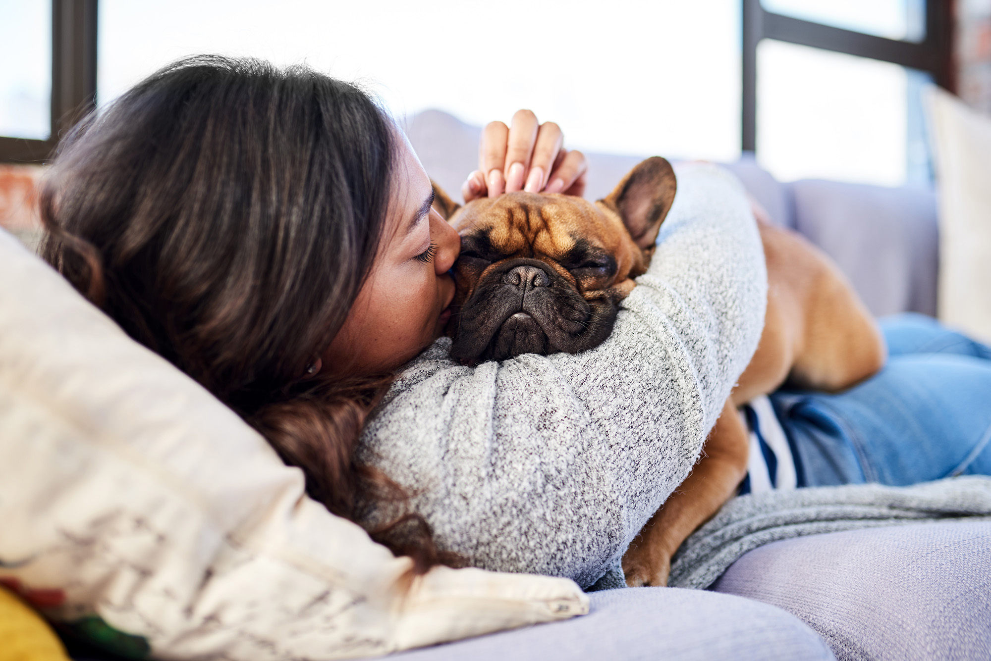Young woman hugging french bulldog on couch